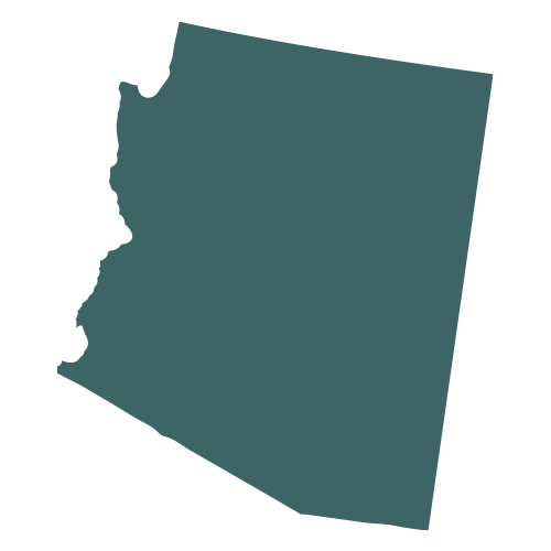 The shape of the state of Arizona, filled in with teal.