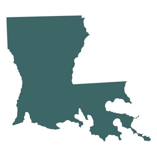 The shape of the state of Louisiana, filled in with teal.